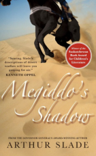 Megiddos Shadow Paperback  by Arthur Slade